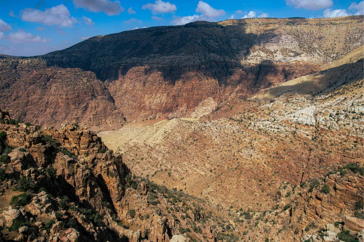 Dana Biosphere Reserve